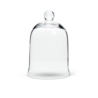 Glass Cloche/Dome Cover